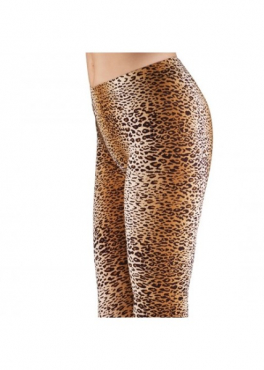Marilyn LEGGINSY PANTER SHORT короткие леопардовые лосины